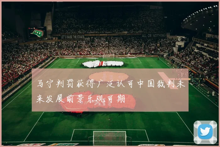 马宁判罚获得广泛认可中国裁判未来发展前景乐观可期