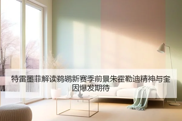 特雷墨菲解读鹈鹕新赛季前景朱霍勒迪精神与奎因爆发期待